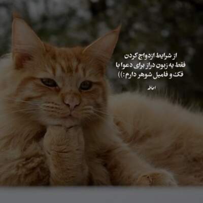 دانلود آهنگ شنگه شوخه زنگیانه از رامین تجنگی دانلود آهنگ شنگه شوخه زنگیانه از رامین تجنگی