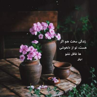 دانلود آهنگ شدی بچه بالا ولی ما این پایینا واست رگ میزنیم دانلود آهنگ شدی بچه بالا ولی ما این پایینا واست رگ میزنیم
