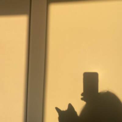 دانلود آهنگ  من همون شب که تو میخندیدی درگیر تماشای تو بودم