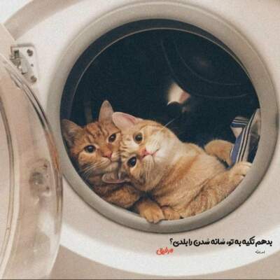 دانلود آهنگ  وای چقد مستم من