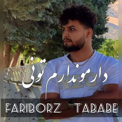 دانلود آهنگ  دارمو ندارم تونی با صدای فریبرز تبابه