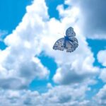 دانلود آهنگ سامان جلیلی خداحافظ دانلود آهنگ سامان جلیلی خداحافظ