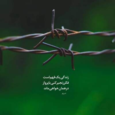 دانلود آهنگ از من عاشق تنها بی تو هیچی نمیمونه دانلود آهنگ از من عاشق تنها بی تو هیچی نمیمونه