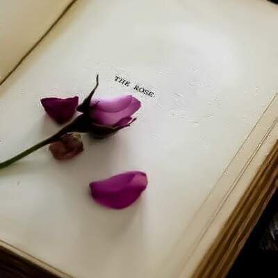 دانلود آهنگ  به مولا که فقط یه راه داری از حصین