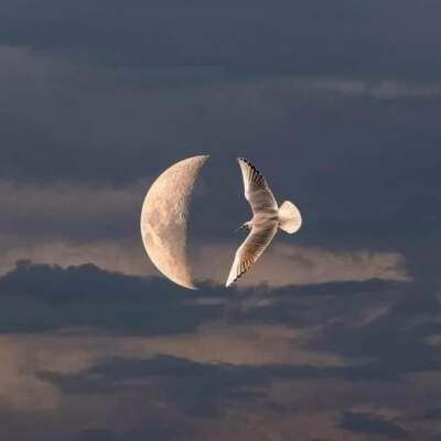 دانلود آهنگ  ببار رو سرم تاج سرم