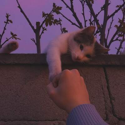 دانلود آهنگ  دلبر ناب دلم گروه آونگ