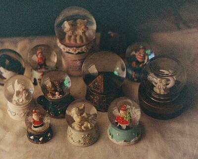 دانلود آهنگ  ای شاخه پر گل قشنگم