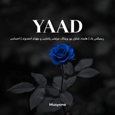 دانلود آهنگ  یاد 2 از هایده شایان یو ویناک مرتضی پاشایی مهدی احمدوند