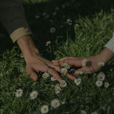 دانلود آهنگ لباتو ژل بزنم نه یه ریمل بزنم کانسیلر بزنم اینستا دانلود آهنگ لباتو ژل بزنم نه یه ریمل بزنم کانسیلر بزنم اینستا