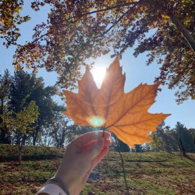 دانلود آهنگ نشدنیه فراموش کردنت نمیشه دل کند از آغوش از تنت از مهیار دانلود آهنگ نشدنیه فراموش کردنت نمیشه دل کند از آغوش از تنت از مهیار