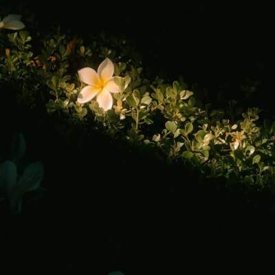 دانلود آهنگ  بی تو دلم را چه کنم رضا بهرام