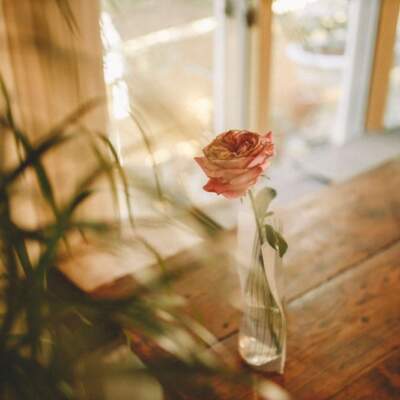 دانلود آهنگ  شراب صد ساله تویی