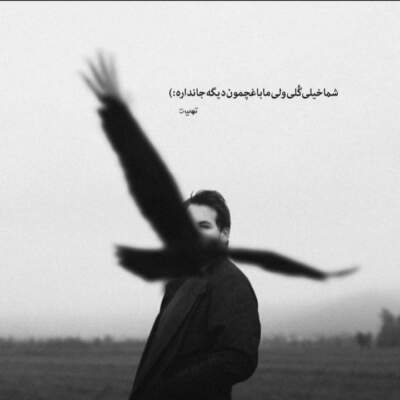 دانلود آهنگ لب بوم اومدی گهواره داری لیلی از محمد مولایی دانلود آهنگ لب بوم اومدی گهواره داری لیلی از محمد مولایی