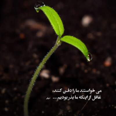 دانلود آهنگ  به جون دوتامون ازت دلخورم از محمد نجم