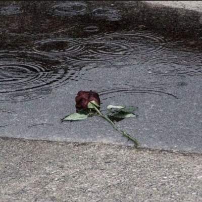 دانلود آهنگ  ببین داره بارون میاد بزار دلم اروم بشه