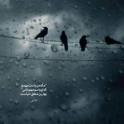 دانلود آهنگ بزار دل واسه عشقت هول کنه دانلود آهنگ بزار دل واسه عشقت هول کنه