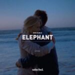 دانلود آهنگ Elephant با صدای Don Diablo دانلود آهنگ Elephant با صدای Don Diablo