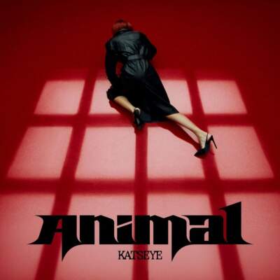 دانلود آهنگ  Animal با صدای KATSEYE
