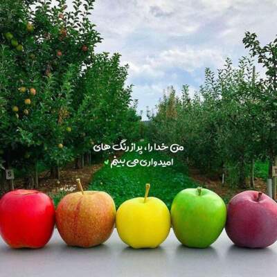 دانلود آهنگ  مورچه پا شکسته راه نمیره نشسته