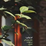 دانلود آهنگ تو اومدی دل من زنده شد دانلود آهنگ تو اومدی دل من زنده شد