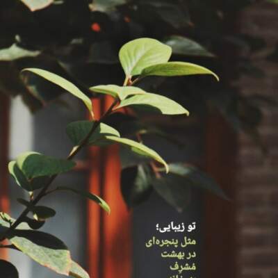 دانلود آهنگ تو اومدی دل من زنده شد دانلود آهنگ تو اومدی دل من زنده شد