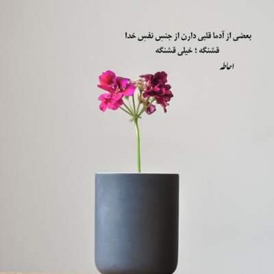دانلود آهنگ افغانی دلبر شیرینم صدای زن دانلود آهنگ افغانی دلبر شیرینم صدای زن