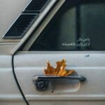 دانلود آهنگ آدمی با خوب و بد همیشه عادت میکنه از گلپا دانلود آهنگ آدمی با خوب و بد همیشه عادت میکنه از گلپا