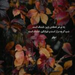 دانلود آهنگ آی گلکم نازگلکم جونم که بند جونته با صدای زن دانلود آهنگ آی گلکم نازگلکم جونم که بند جونته با صدای زن