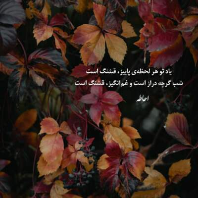 دانلود آهنگ آی گلکم نازگلکم جونم که بند جونته با صدای زن دانلود آهنگ آی گلکم نازگلکم جونم که بند جونته با صدای زن