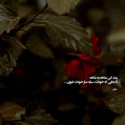 دانلود آهنگ بزا بگم بزار بگم نگفته رو حرفای ناشنفته رو هوش مصنوعی با صدای زن دانلود آهنگ بزا بگم بزار بگم نگفته رو حرفای ناشنفته رو هوش مصنوعی با صدای زن
