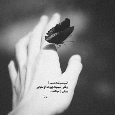 دانلود آهنگ دلم به هر صدایی به هر صدای پایی با صدای زن هوش مصنوعی دانلود آهنگ دلم به هر صدایی به هر صدای پایی با صدای زن هوش مصنوعی