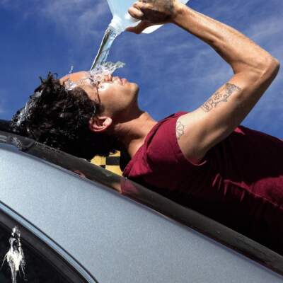 دانلود آهنگ Wallflower با صدای Dominic Fike دانلود آهنگ Wallflower با صدای Dominic Fike