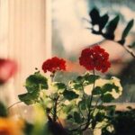 دانلود آهنگ فرمون بده سینه چاکتم من دانلود آهنگ فرمون بده سینه چاکتم من