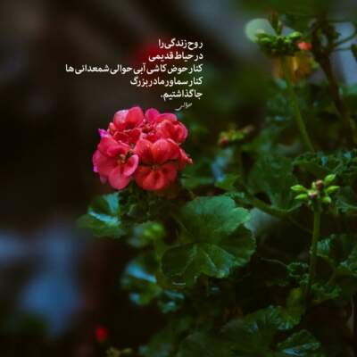 دانلود آهنگ  ترکی ترند اینستا حیاتیم با صدای زن