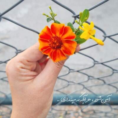 دانلود آهنگ جان و جانامی ماه شب هامی راز دنیامی هوش مصنوعی با صدای زن دانلود آهنگ جان و جانامی ماه شب هامی راز دنیامی هوش مصنوعی با صدای زن