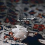 دانلود آهنگ کی بود جمعیت میکرد تا صبح از سمی لون دانلود آهنگ کی بود جمعیت میکرد تا صبح از سمی لون
