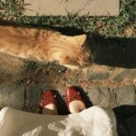 دانلود آهنگ ما هرچه دویدیم به مقصد نرسیدیم با صدای حمیرا دانلود آهنگ ما هرچه دویدیم به مقصد نرسیدیم با صدای حمیرا
