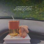 دانلود آهنگ تک گل باغ قلبم دور چشات بگردم با صدای زن هوش مصنوعی دانلود آهنگ تک گل باغ قلبم دور چشات بگردم با صدای زن هوش مصنوعی