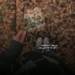 دانلود آهنگ منو با چشمات نرنجون من خودم ناجی دردم با صدای زن هوش مصنوعی