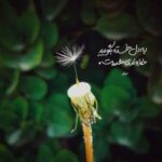 دانلود آهنگ تگو که لنج ایشستن با صدای زن هوش مصنوعی دانلود آهنگ تگو که لنج ایشستن با صدای زن هوش مصنوعی