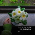 دانلود آهنگ از دست رفتم با صدای نورا هوش مصنوعی دانلود آهنگ از دست رفتم با صدای نورا هوش مصنوعی