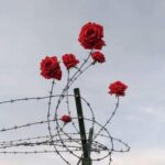 دانلود آهنگ سر سنگ مزارم گل بریزید میثم خسروی دانلود آهنگ سر سنگ مزارم گل بریزید میثم خسروی