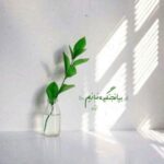 دانلود آهنگ وقتی که تو بد میشی باز می بینم دنیا رو سرم خرابه دانلود آهنگ وقتی که تو بد میشی باز می بینم دنیا رو سرم خرابه