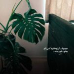 دانلود آهنگ اهای دنیا من خیلی خستم با صدای زن هوش مصنوعی
