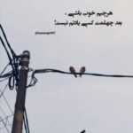 دانلود آهنگ دﻟﻪ دﻳﮕﻪ ﺑﻌضی وﻗﺘﺎ واﺳﻪ ﺗﻮ ﺗﻨﮓ ﻣﻴﺸﻪ با صدای زن هوش مصنوعی دانلود آهنگ دﻟﻪ دﻳﮕﻪ ﺑﻌضی وﻗﺘﺎ واﺳﻪ ﺗﻮ ﺗﻨﮓ ﻣﻴﺸﻪ با صدای زن هوش مصنوعی