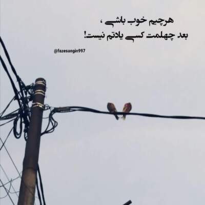دانلود آهنگ دﻟﻪ دﻳﮕﻪ ﺑﻌضی وﻗﺘﺎ واﺳﻪ ﺗﻮ ﺗﻨﮓ ﻣﻴﺸﻪ با صدای زن هوش مصنوعی دانلود آهنگ دﻟﻪ دﻳﮕﻪ ﺑﻌضی وﻗﺘﺎ واﺳﻪ ﺗﻮ ﺗﻨﮓ ﻣﻴﺸﻪ با صدای زن هوش مصنوعی