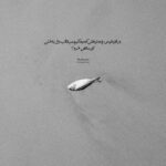 دانلود آهنگ جواهری در قصر قلبم نازتو میخرم دست به نقدم هوش مصنوعی دانلود آهنگ جواهری در قصر قلبم نازتو میخرم دست به نقدم هوش مصنوعی