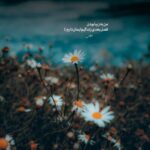 دانلود آهنگ سرم درد میکنه کو مادر من هوش مصنوعی با صدای زن دانلود آهنگ سرم درد میکنه کو مادر من هوش مصنوعی با صدای زن