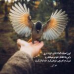 دانلود آهنگ توی جیک جیک مستان ما از این حرفا نداشتیم دانلود آهنگ توی جیک جیک مستان ما از این حرفا نداشتیم