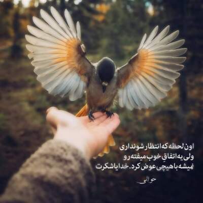 دانلود آهنگ  توی جیک جیک مستان ما از این حرفا نداشتیم